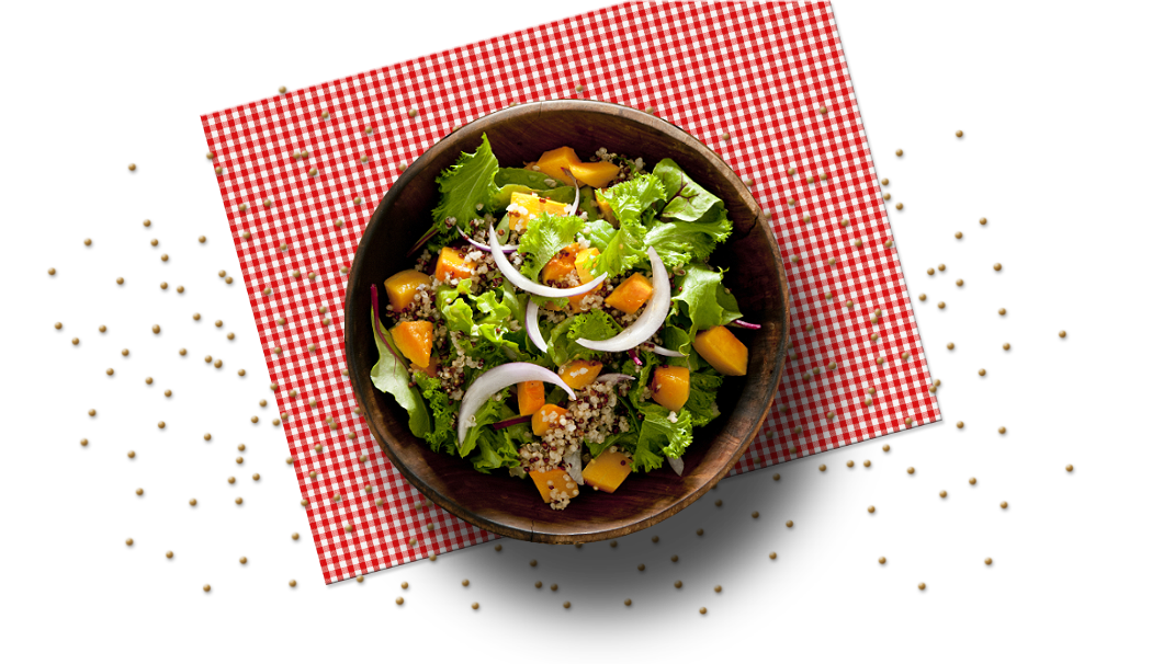 dish2