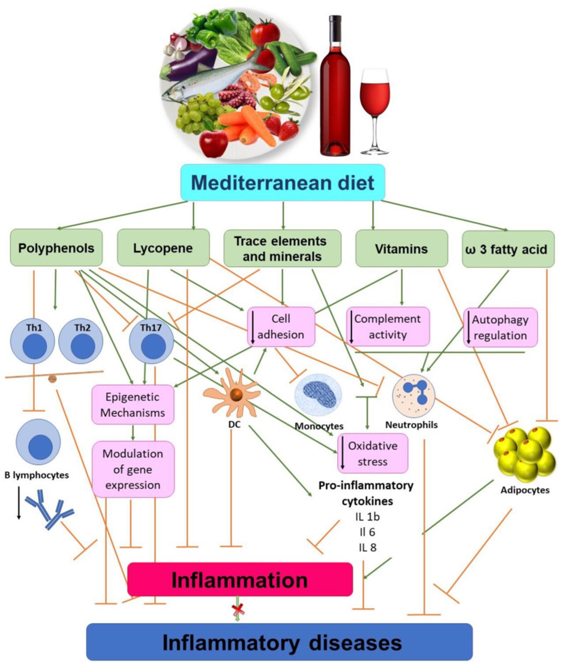 med diet 2